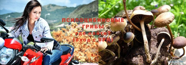 экстази Алзамай