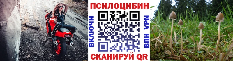 цена   Мантурово  Галлюциногенные грибы MAGIC MUSHROOMS 